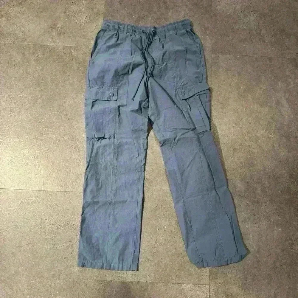 Pacsun Blue Cargo Pants Size Small Like New